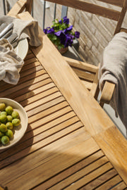 Butterfly Folding Table - Teak