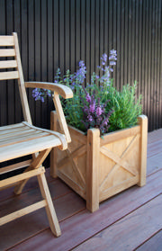 York Folding Chair - Teak