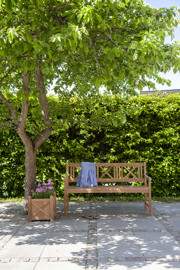 Rosenborg Three-Seater Bench - Teak